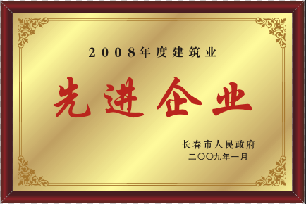 2009年先进企业