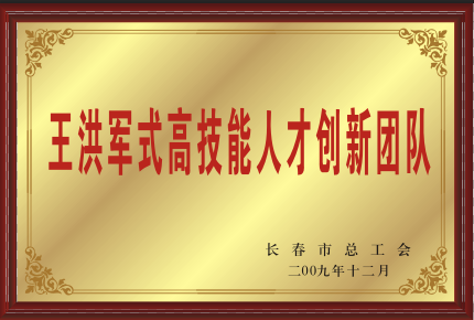 2009年王洪军式高技能人才创新团队